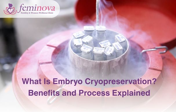What Is Embryo Cryopreservation Benefits and Process Explained What Is Embryo Cryopreservation? Benefits and Process Explained