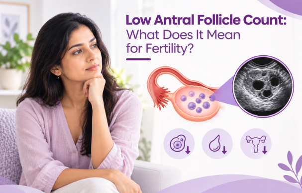 Low Antral Follicle Count: What Does It Mean for Fertility?